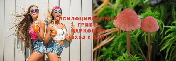 Альфа ПВП Бутурлиновка